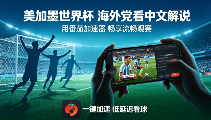 在香港看世界杯当前IP受限制教程